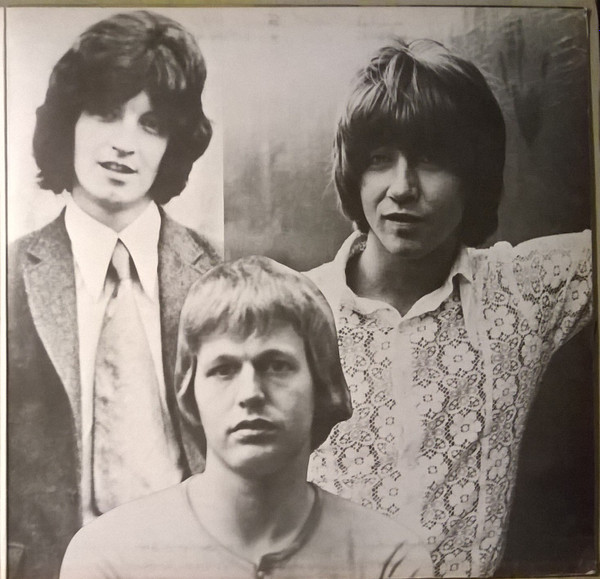 The Hollies - Hollies Sing Hollies | Hansa (80 198 IT) - 2