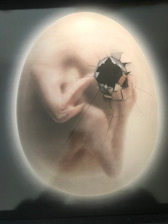 Various - Flesh Renewed | Natural Sciences (NS-X-EMBRYO) - 4