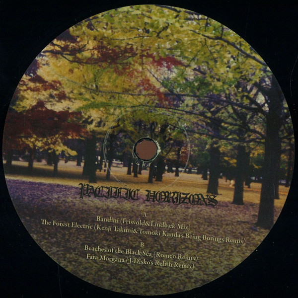 Pacific Horizons - Re-Illumination Series Volume 2 | Pacific Wizard Foundation (PWF010) - main Pacific Horizons - Re-Illumination Series Volume 2 | Pacific Wizard Foundation (PWF010) - main