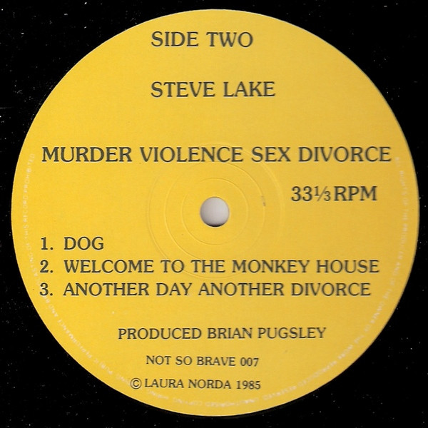 Steve Lake - Murder Violence Sex Divorce | Not So Brave VZW (NSB 007) - 4 Steve Lake - Murder Violence Sex Divorce | Not So Brave VZW (NSB 007) - 4