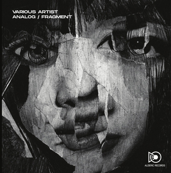 Various - Analog / Fragment | Alderic Records (Alderic 02)