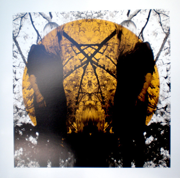 Austra - Feel It Break | Domino (WIGLP270)