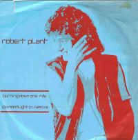 Robert Plant - Burning Down One Side | Swan Song (SS 19 429)