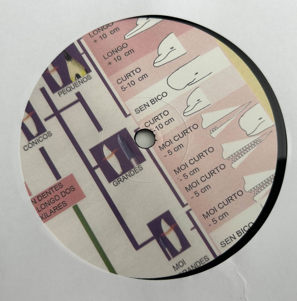 Sun Araw - Cetacean Sensation | Discrepant (CREP103) - 4 Sun Araw - Cetacean Sensation | Discrepant (CREP103) - 4