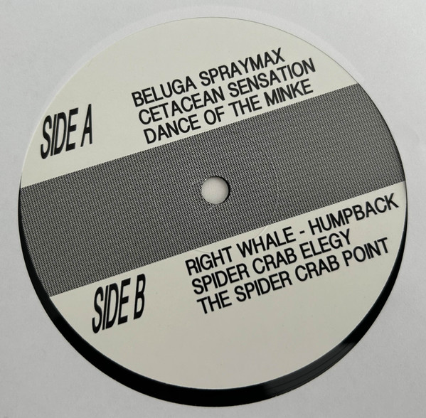 Sun Araw - Cetacean Sensation | Discrepant (CREP103) - 3 Sun Araw - Cetacean Sensation | Discrepant (CREP103) - 3