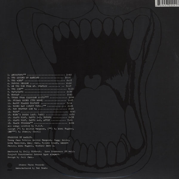 Young Jazz Rebels - Slave Riot | Stones Throw Records (STH2224) - 2