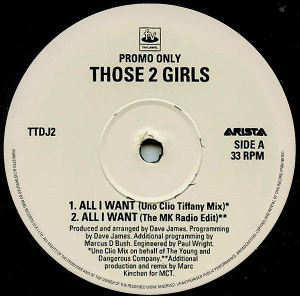 Those 2 Girls - All I Want | Final Vinyl (TTDJ2)