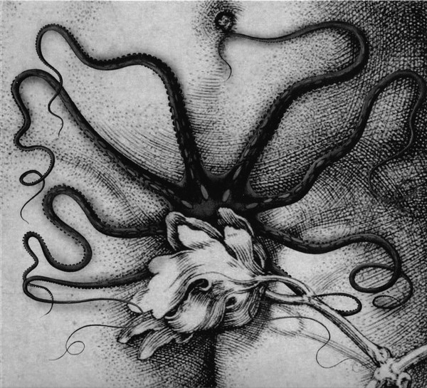 Biche / Organon - Biche / Organon | Poutrage Records (POU 007)