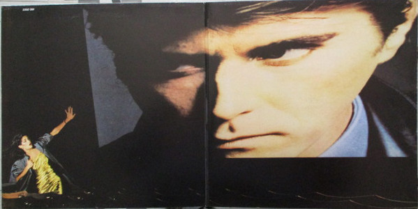 Bryan Ferry - The Bride Stripped Bare | Polydor (2302 081) - 2 Bryan Ferry - The Bride Stripped Bare | Polydor (2302 081) - 2