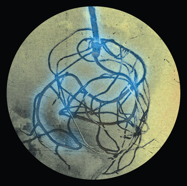 Guzman , Bassy Bee , Gastón Cabrera - The Roots E.P. | Zonate (ZON005) - main Guzman , Bassy Bee , Gastón Cabrera - The Roots E.P. | Zonate (ZON005) - main