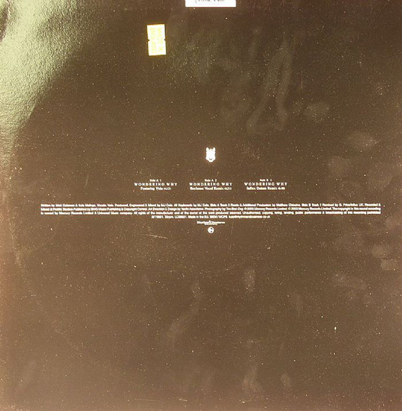 MJ Cole - Wondering Why | Talkin' Loud (0779521) - 2