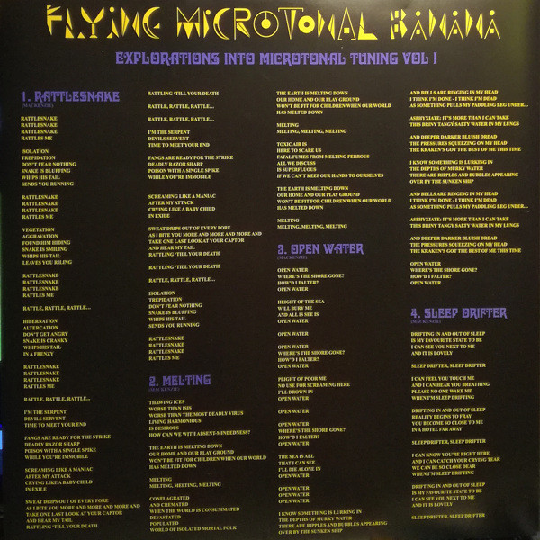 King Gizzard And The Lizard Wizard - Flying Microtonal Banana (Explorations Into Microtonal Tuning Volume 1) | Heavenly (HVNLP136S) - 2