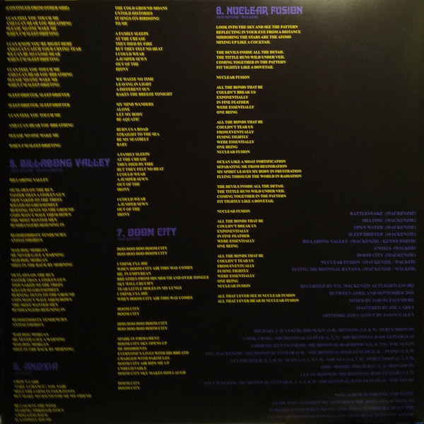 King Gizzard And The Lizard Wizard - Flying Microtonal Banana (Explorations Into Microtonal Tuning Volume 1) | Heavenly (HVNLP136S) - 3