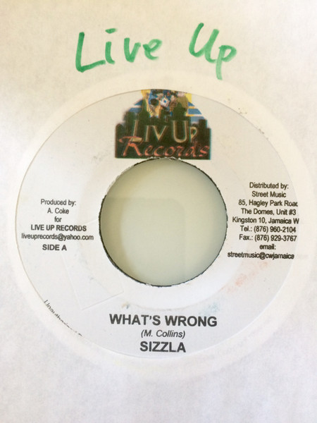 Sizzla - What's Wrong | Liv Up Records (none)