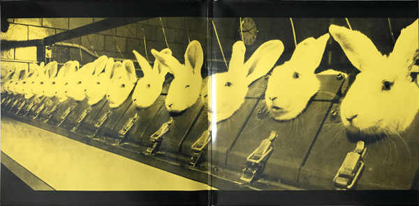 Blackmail - Science Fiction | BluNoise Records (none) - 2