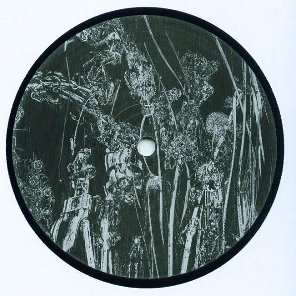 Lawrence - Deep Summer Hole | Dial (dialrec 31) - 3
