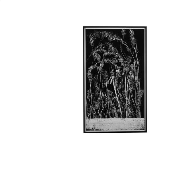 Lawrence - Deep Summer Hole | Dial (dialrec 31)