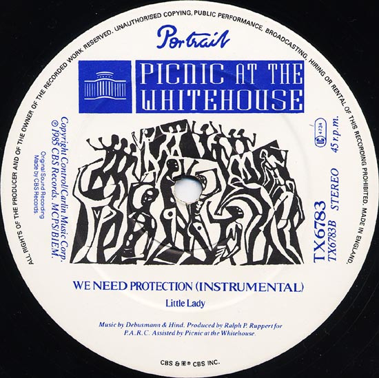 Picnic At The Whitehouse - We Need Protection (Screamix) | Portrait (TX6783) - 4