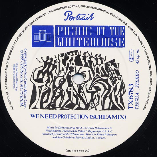 Picnic At The Whitehouse - We Need Protection (Screamix) | Portrait (TX6783) - 3