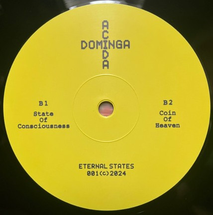 Acida Dominga - Imagination Creates Reality | Eternal States (ES 001) - 4