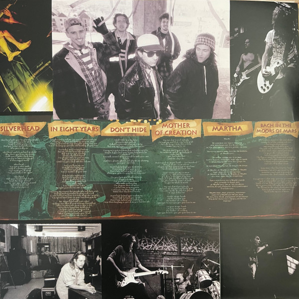 Grimskunk - Grimskunk (2LP) [Vinyl] | Indica Records (INDLP042) - 3