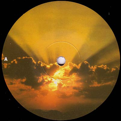 Fatboy Slim Featuring Macy Gray - Demons | Skint (SKINT 60) - 4