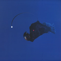 Michael Melchner - No Light Below | Omega Men (OMEN008) - main