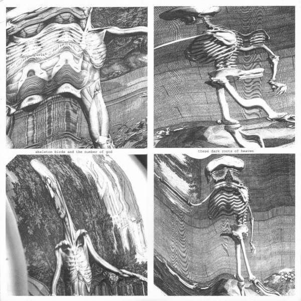 Skeleton Birds And The Number Of God - These Dark Roots Of Heaven | Alt.Vinyl (av024)