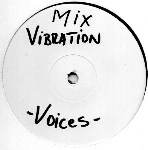 Unknown Artist - Vibration | Erregi (RG004)