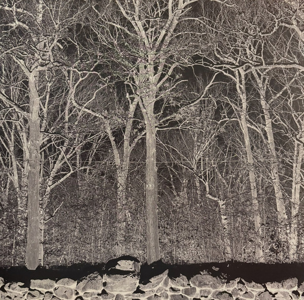 Pile - Sunshine and Balance Beams | Sooper Records (SR062) - main