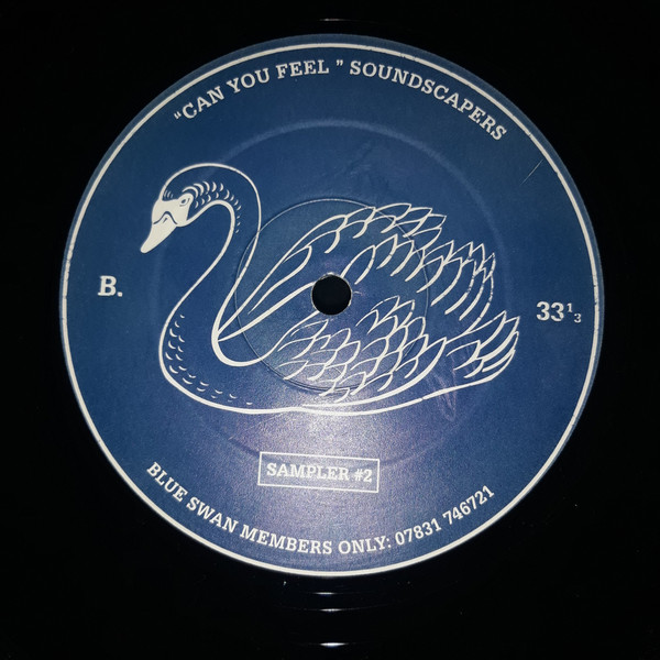 Ideal / Soundscapers - Sampler 2 | Blue Swan Records (SAMPLER 2) - 2 Ideal / Soundscapers - Sampler 2 | Blue Swan Records (SAMPLER 2) - 2