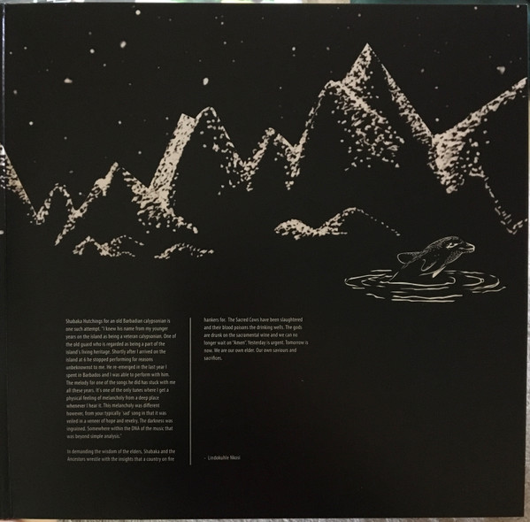 Shabaka And The Ancestors - Wisdom Of Elders | Brownswood Recordings (BWOOD0155LP) - 2