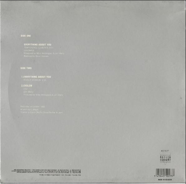 Everything About You