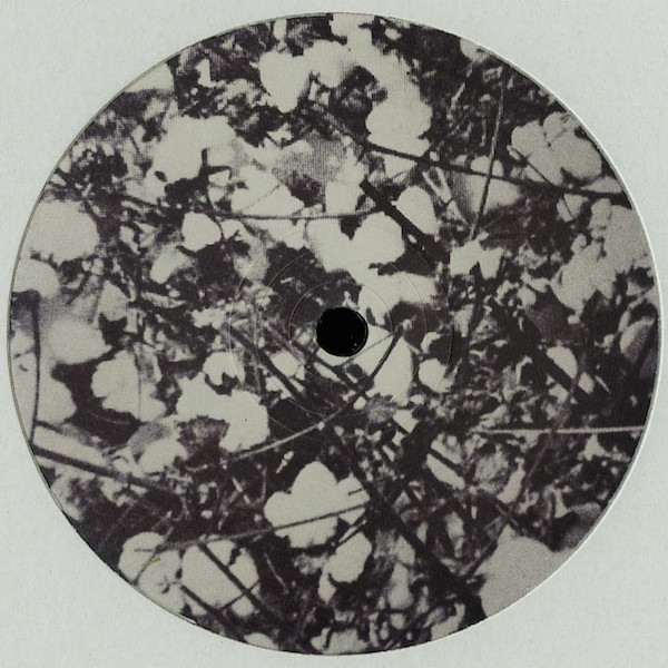 Homework - Conquered Enemies | Wolf Music Recordings (WOLFEP027) - 2