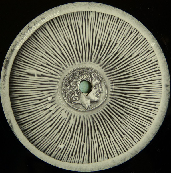 Kapote - Mushroom House Vol 2 | Toy Tonics (TOYT116) - 3