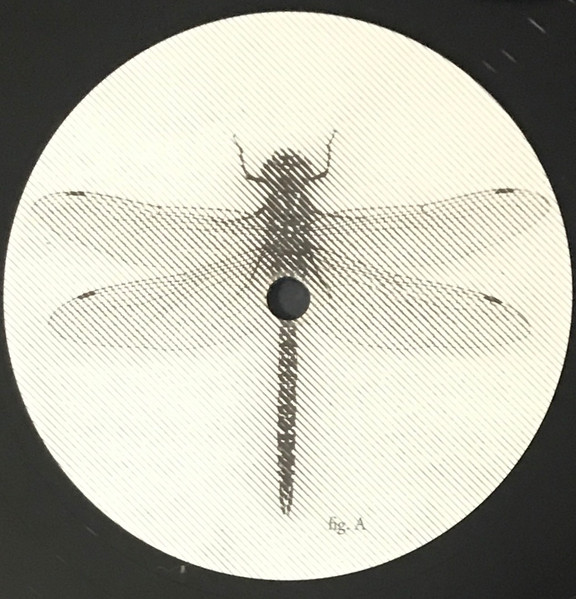 Panicsville - A Dragonfly For Each Corpse | Smeraldina-Rima (10) - 3