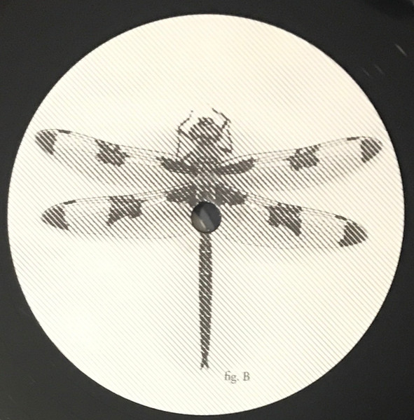 Panicsville - A Dragonfly For Each Corpse | Smeraldina-Rima (10) - 4