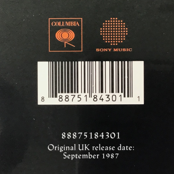 Pink Floyd - A Momentary Lapse Of Reason | Columbia (88875184301) - 2