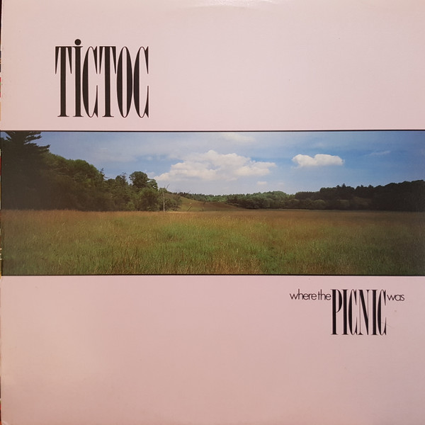Tictoc - Where The Picnic Was | Dallcorte Records (DLP 0704) - main