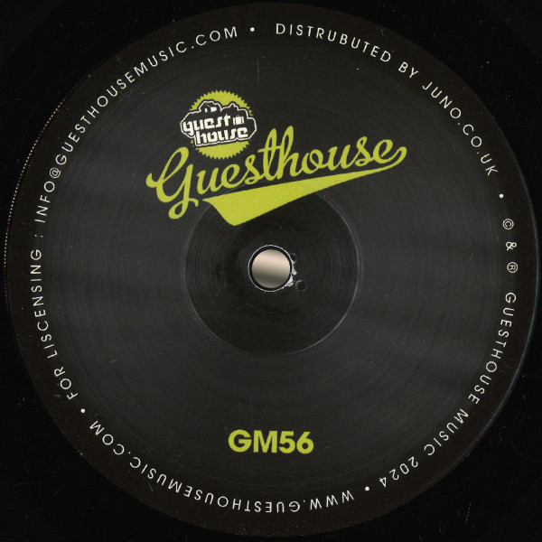DJ Mes - Out Of Order | Guesthouse Music (GM56)