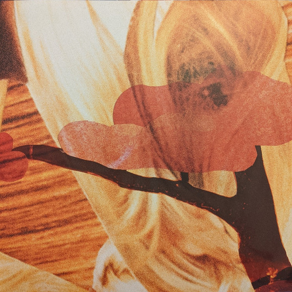 The National - Cherry Tree | 4AD (4AD0314T) - 4