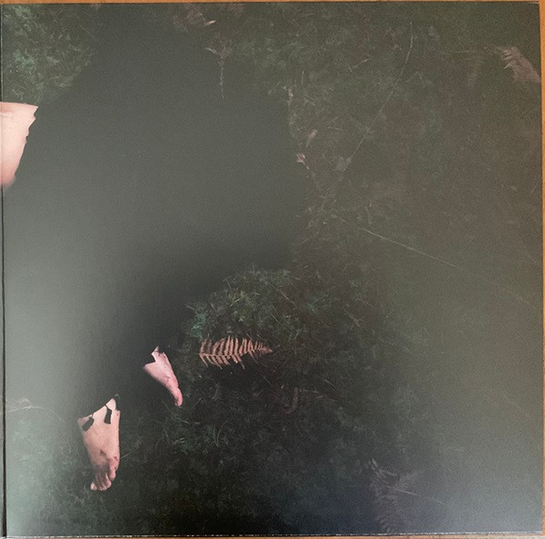 Bat For Lashes - The Dream Of Delphi (Limited Indie Edition - Red Vinyl) [Vinyl] | Mercury KX (6501833) - 3