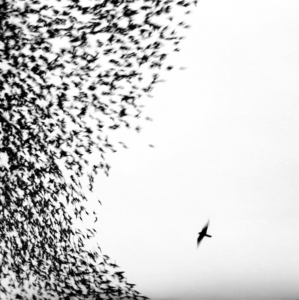 Wilco - Sky Blue Sky | Nonesuch (131388-1)
