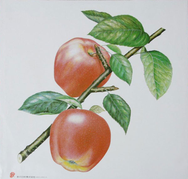 The Rolling Stones - Undercover | Rolling Stones Records (ESS-91070) - 3