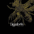 Bigga Bush - Acid Fly | Stereo Deluxe (SD 119) - main Bigga Bush - Acid Fly | Stereo Deluxe (SD 119) - main