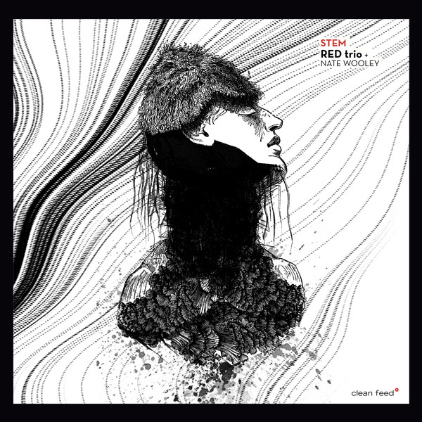 RED Trio + Nate Wooley - Stem | Clean Feed (CF249CD) - main