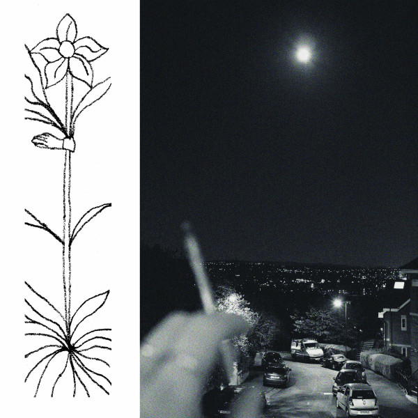 Jabu - A Soft And Gatherable Star | do you have peace? (DYHP016)