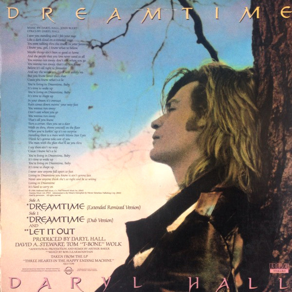 Daryl Hall - Dreamtime | RCA (5714-1-RD) - main