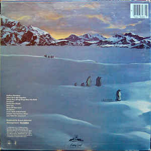 The Beach Boys - Keepin' The Summer Alive | Caribou Records (PZ 36283) - 2 The Beach Boys - Keepin' The Summer Alive | Caribou Records (PZ 36283) - 2