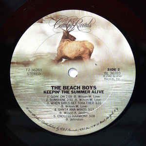 The Beach Boys - Keepin' The Summer Alive | Caribou Records (PZ 36283) - 4 The Beach Boys - Keepin' The Summer Alive | Caribou Records (PZ 36283) - 4